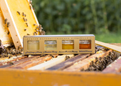 Dieses Bild zeigt ein Honigsortiment der Imkerei BienenStich aus Manhartsbrunn, Österreich. BienenStich ist ein kleiner Familienbetrieb in der Nähe von Wien und es wird in der Imkerei hochwertiger BIO-Honig hergestellt.