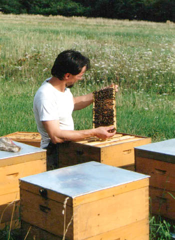 Dieses Bild zeigt ein altes Bild von der Imkerei BienenStich aus Manhartsbrunn, Österreich. Es ist ein kleiner Familienbetrieb in der Nähe von Wien und es wird BIO-Honig hergestellt.