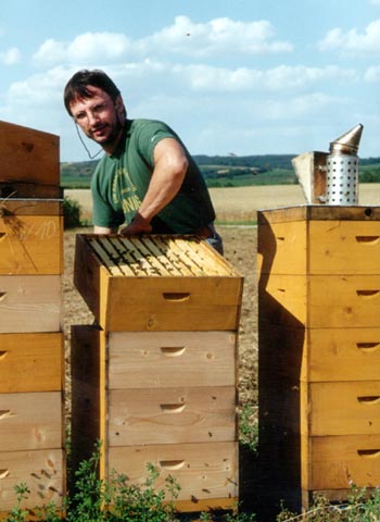 Dieses Bild zeigt ein altes Bild von der Imkerei BienenStich aus Manhartsbrunn, Österreich. Es ist ein kleiner Familienbetrieb in der Nähe von Wien und es wird BIO-Honig hergestellt.